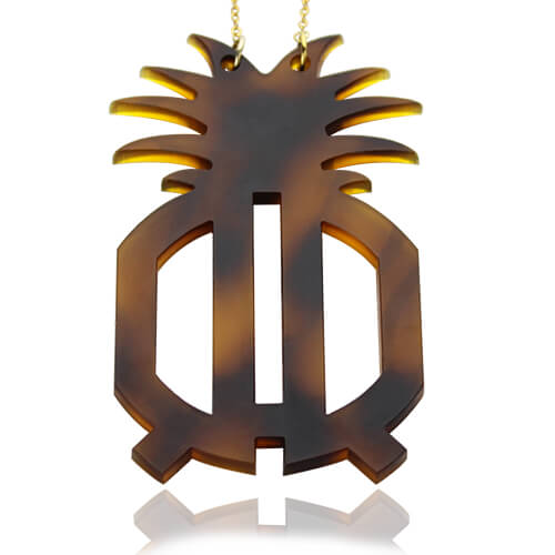 Customised Acrylic Two Initials Monogram Pineapple Necklace - The Name Jewellery™